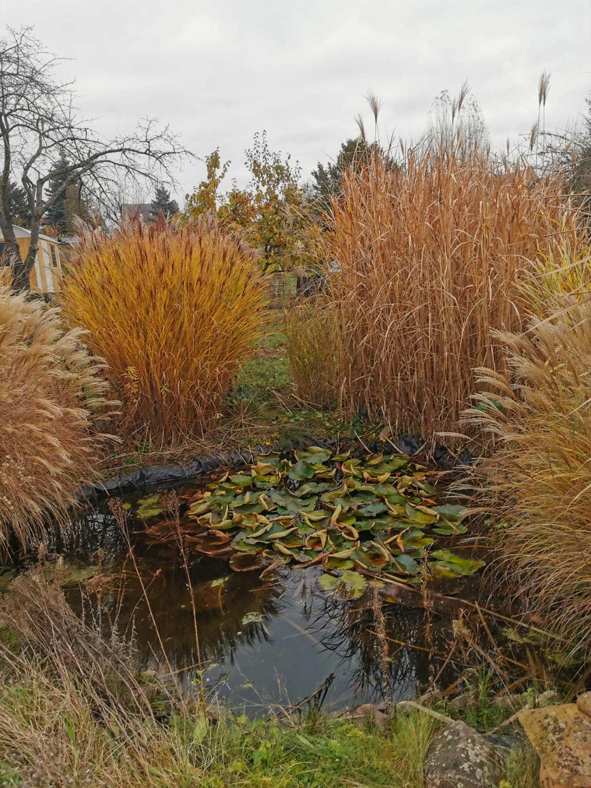 WhatsApp Bild 2025-11-25 um 19.27.12_5772317c