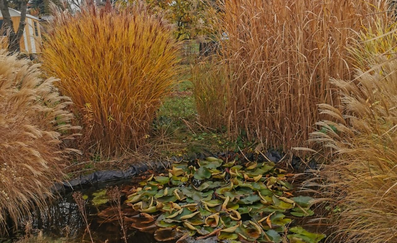 WhatsApp Bild 2025-11-25 um 19.27.12_5772317c